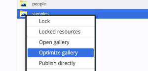 Open the gallery optimize dialog
